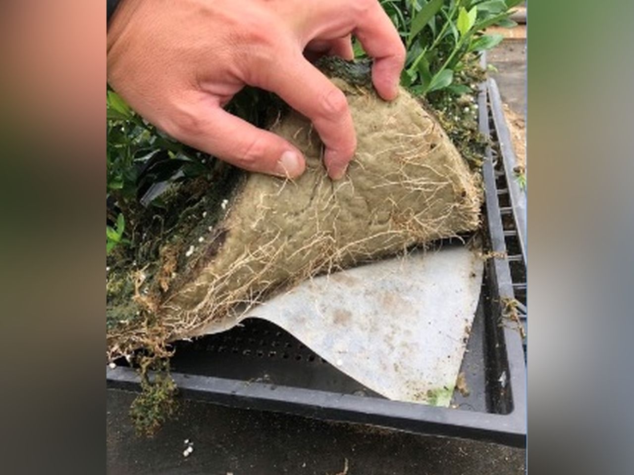 薄層空庭工法 薄層空庭工法